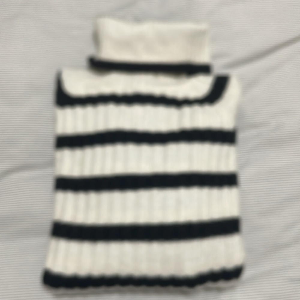 H&M Women Turtle Neck Stripped Sweater